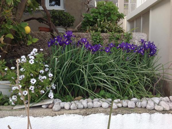 Villa Misita : photo 9 de la chambre appartement - vue sur mer