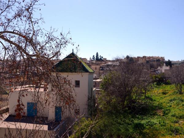 Dar Roumana : photo 4 de la chambre chambre double argana