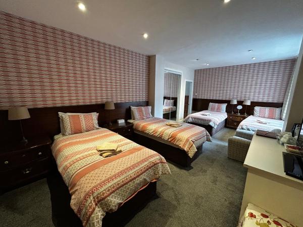 Acer Lodge Guest House : photo 2 de la chambre chambre familiale