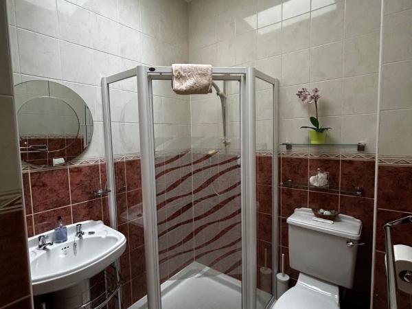 Acer Lodge Guest House : photo 5 de la chambre chambre familiale