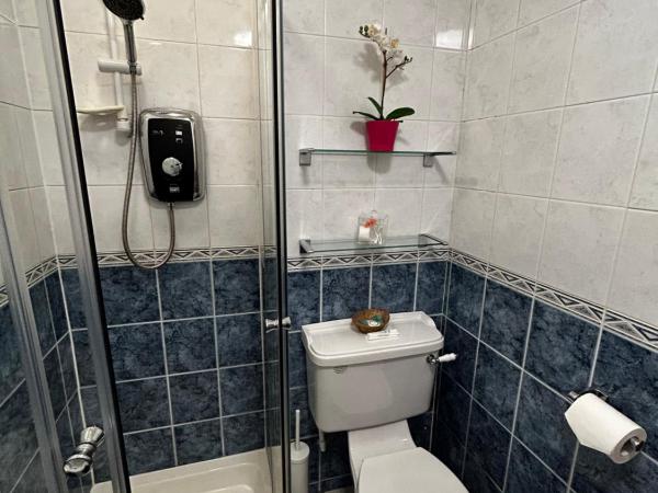 Acer Lodge Guest House : photo 9 de la chambre chambre double