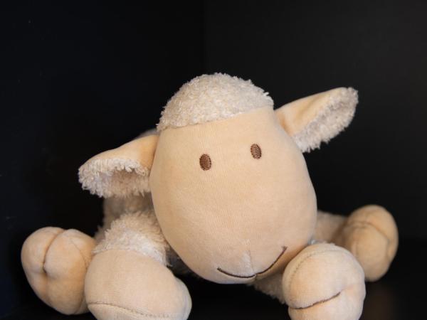 Maison Cimes : photo 8 de la chambre chambre familiale avec terrasse