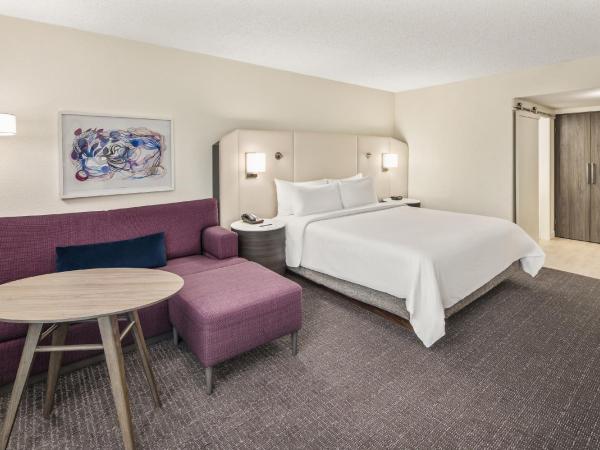 Crowne Plaza Orlando - Lake Buena Vista, an IHG Hotel : photo 1 de la chambre chambre king standard avec balcon