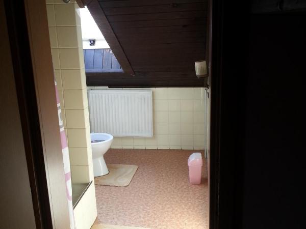 Pension U Dolezalu : photo 5 de la chambre chambre lits jumeaux