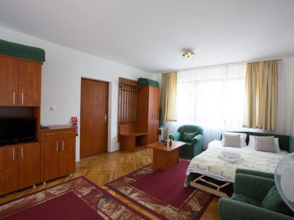 HELIOS Hotel Apartments : photo 2 de la chambre appartement supérieur 1 chambre