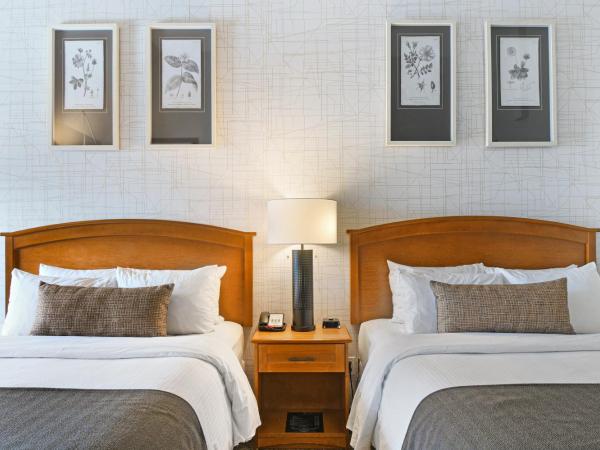 Banff Inn : photo 5 de la chambre chambre supérieure avec 2 lits queen-size