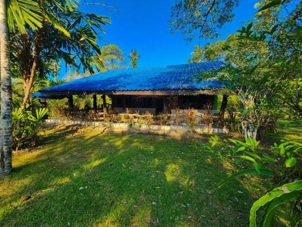 Banmae Resort Kohchang : photo 3 de la chambre chambre familiale