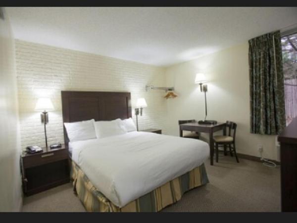 Inns of Virginia Arlington : photo 1 de la chambre chambre lit queen-size - fumeurs
