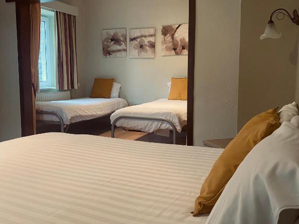 New Hotel de Lives : photo 3 de la chambre chambre familiale