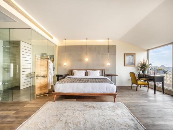 Ansen Hotel and Suites : photo 10 de la chambre penthouse