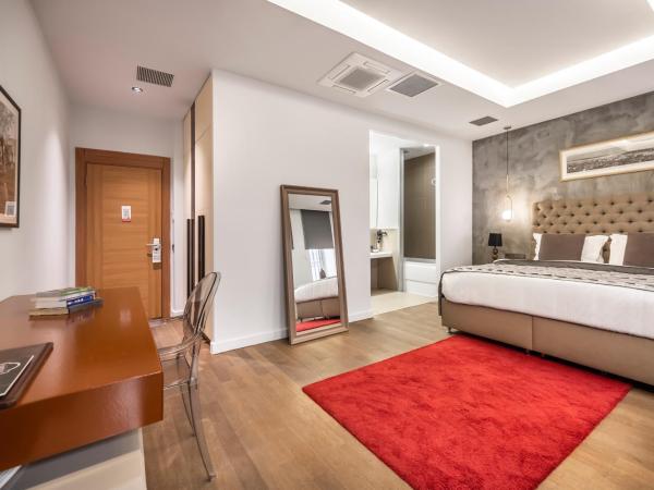 Ansen Hotel and Suites : photo 8 de la chambre chambre double Économique