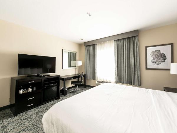 Best Western Inn & Suites San Diego Zoo -SeaWorld Area : photo 3 de la chambre chambre lit king-size - non-fumeurs