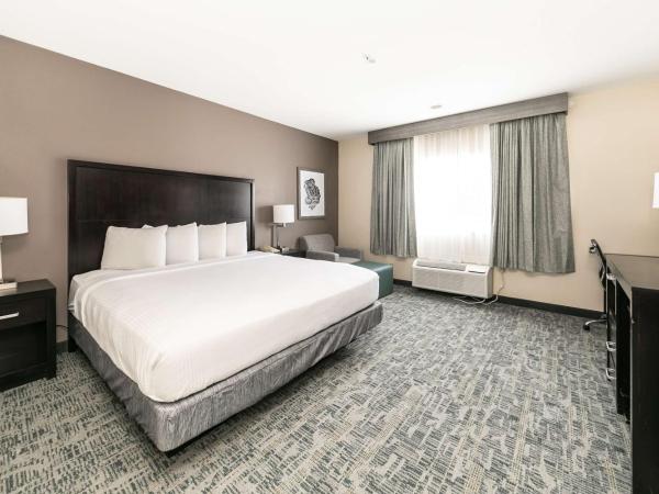 Best Western Inn & Suites San Diego Zoo -SeaWorld Area : photo 4 de la chambre chambre lit king-size - non-fumeurs