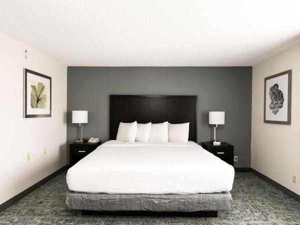 Best Western Inn & Suites San Diego Zoo -SeaWorld Area : photo 1 de la chambre chambre lit king-size avec baignoire - accessible aux personnes à mobilité réduite - non-fumeurs