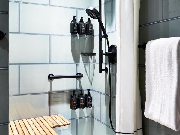 Hotel Indigo NYC Financial District, an IHG Hotel : photo 2 de la chambre chambre lit king-size standard avec douche avec siège de transfert - accessible aux personnes à mobilité réduite