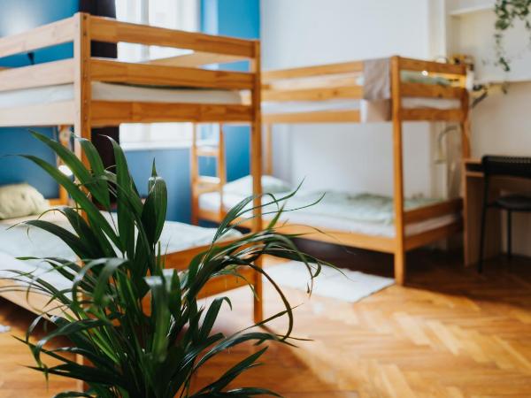 Nap Hostel Pécs : photo 3 de la chambre dortoir mixte de 10 lits