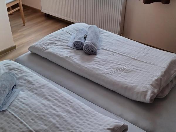 Pension am Stern : photo 7 de la chambre chambre double deluxe avec douche