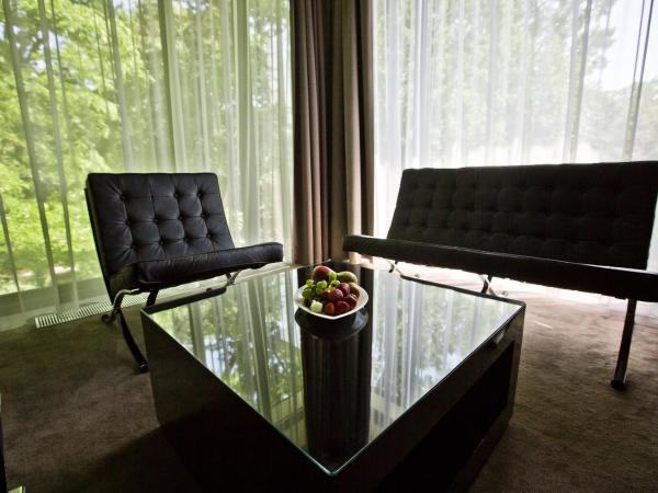 Platinum Palace Boutique Hotel & SPA : photo 7 de la chambre suite lit king-size
