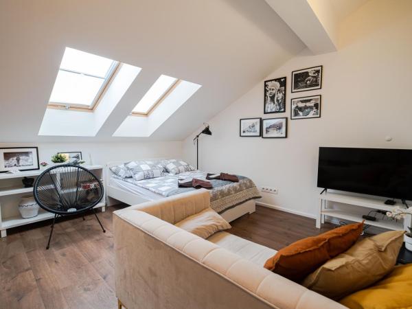 Old Town Vistula Premium Apartments : photo 4 de la chambre deluxe studio - no. 33r