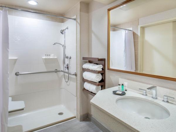 Sheraton Music City Nashville Airport : photo 6 de la chambre 1 king guest room