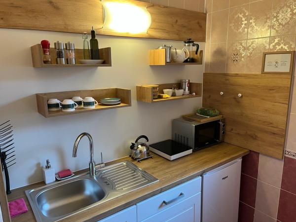 HOTEL DIANA apartments : photo 8 de la chambre suite 1 chambre