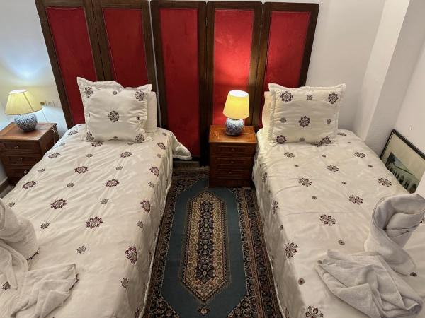 Riad Damia Suite &Spa : photo 2 de la chambre petite chambre lits jumeaux