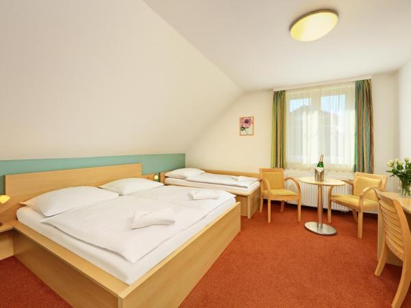 Penzion Krumlov - B&B - Massage studio : photo 3 de la chambre chambre triple standard