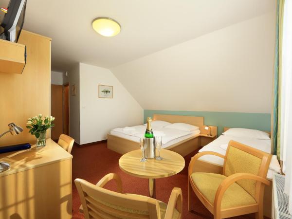 Penzion Krumlov - B&B - Massage studio : photo 4 de la chambre chambre triple standard