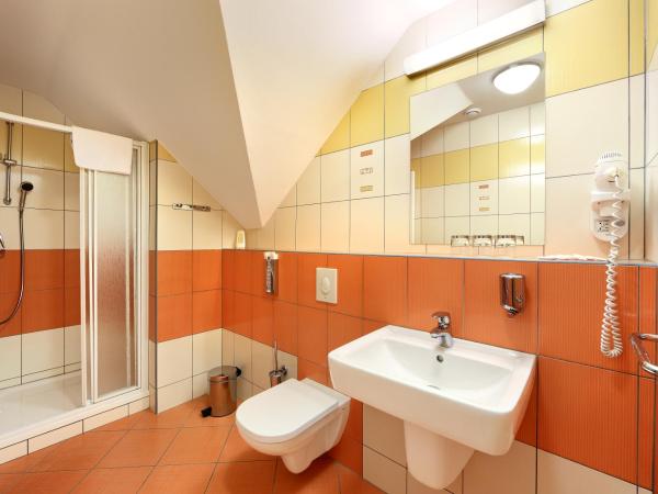 Penzion Krumlov - B&B - Massage studio : photo 5 de la chambre chambre triple standard