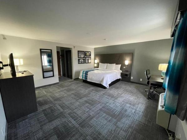La Quinta Inn by Wyndham Indianapolis Airport Executive Dr : photo 5 de la chambre chambre lit king-size deluxe