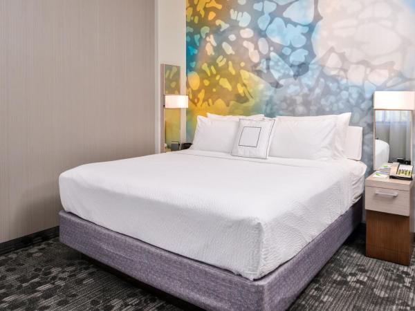 Courtyard by Marriott Charlotte Northlake : photo 2 de la chambre chambre lit king-size avec canapé-lit