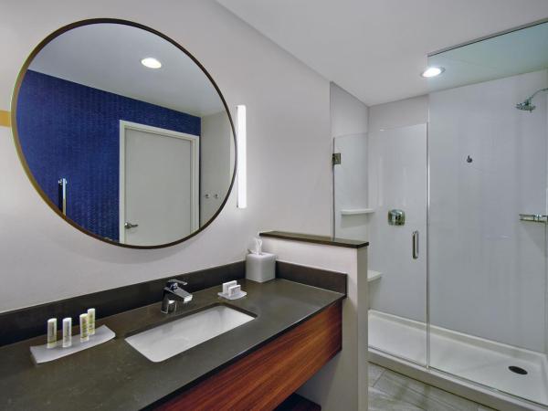 Fairfield by Marriott Inn & Suites Orlando at FLAMINGO CROSSINGS® Town Center : photo 4 de la chambre chambre lit king-size