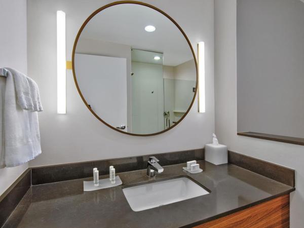 Fairfield by Marriott Inn & Suites Orlando at FLAMINGO CROSSINGS® Town Center : photo 6 de la chambre chambre lit king-size