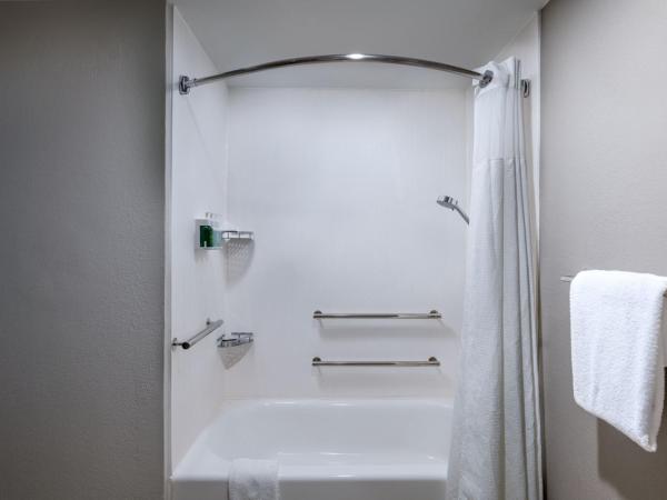 Courtyard by Marriott San Antonio Downtown : photo 1 de la chambre chambre lit king-size avec canapé-lit