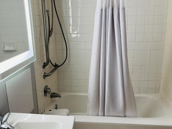 Wingate Houston near NRG Park/Medical Center : photo 3 de la chambre chambre lit king-size - non-fumeurs