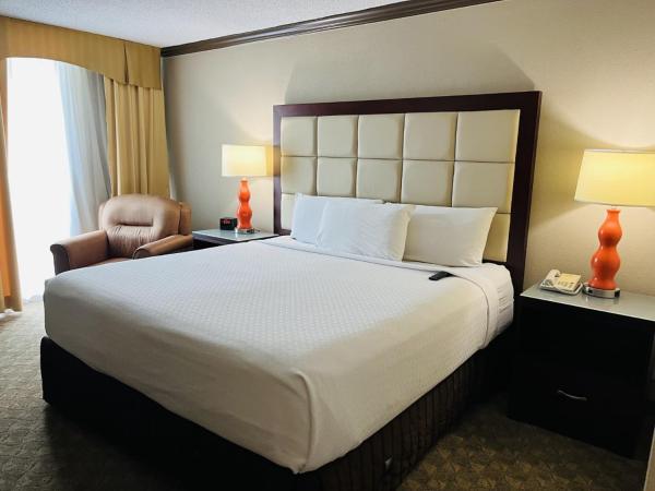 Wingate Houston near NRG Park/Medical Center : photo 5 de la chambre chambre lit king-size - non-fumeurs