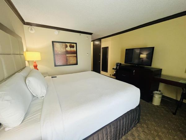 Wingate Houston near NRG Park/Medical Center : photo 6 de la chambre chambre lit king-size - non-fumeurs