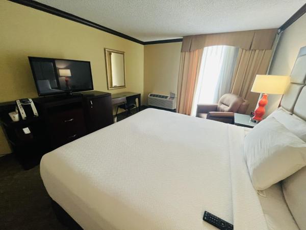 Wingate Houston near NRG Park/Medical Center : photo 7 de la chambre chambre lit king-size - non-fumeurs