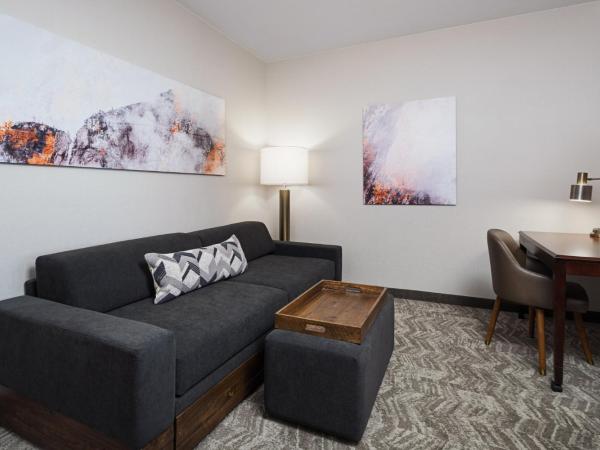 SpringHill Suites by Marriott Denver Airport : photo 4 de la chambre king studio suite with trundle bed – non-smoking