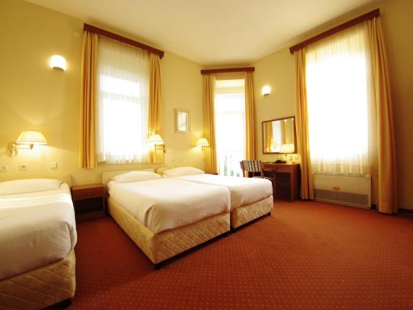 Hotel Vila Ružica- glavna zgrada i depandanse : photo 5 de la chambre chambre triple standard