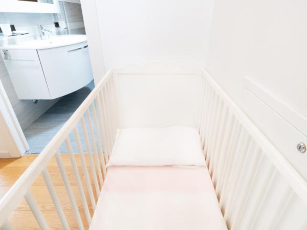 Ca' Degli Antichi Giardini Apartments : photo 9 de la chambre appartement supérieur 2 chambres sur 2 Étages avec terrasse 