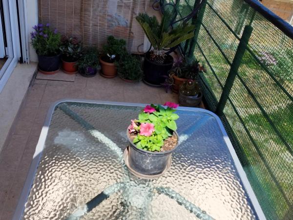 Mom's Cozy Corner : photo 8 de la chambre chambre double avec balcon