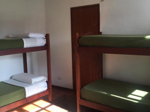 Hostel Posada Juan Ignacio : photo 2 de la chambre lit simple dans dortoir mixte