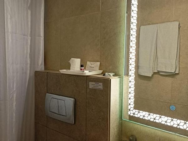 Cosy Grand, Near Chanakyapuri, Embassy Area : photo 9 de la chambre chambre deluxe double ou lits jumeaux