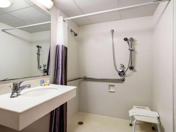 La Quinta Inn Tampa Airport Stadium Westshore : photo 2 de la chambre chambre lit king-size avec douche accessible en fauteuil - accessible aux personnes malvoyantes/non-fumeurs