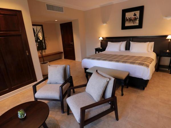 Casa Agostino - Luxury wine and hotel in Bodega Agostino : photo 3 de la chambre suite supérieure