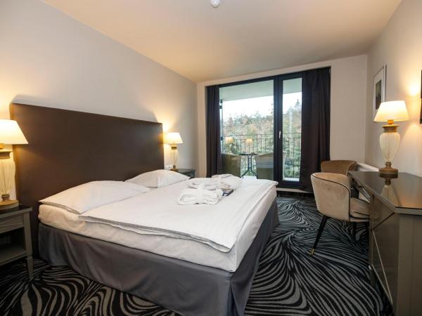 Parkhotel Carlsbad Inn : photo 1 de la chambre chambre double avec terrasse