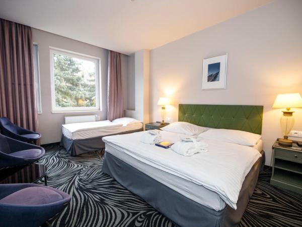 Parkhotel Carlsbad Inn : photo 1 de la chambre chambre triple confort