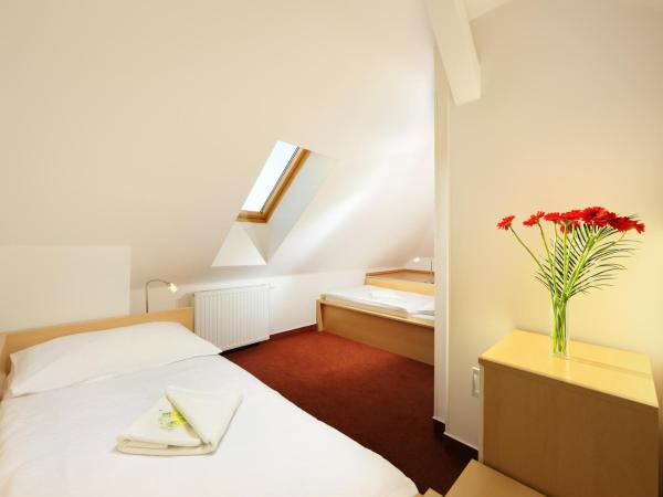 Penzion Krumlov - B&B - Massage studio : photo 4 de la chambre chambre quadruple - duplex