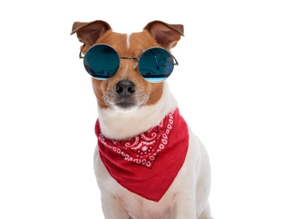 Casa San Rafael CDMX : photo 2 de la chambre appartement 2 chambres